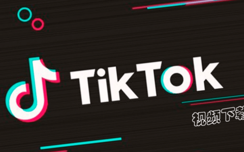 15个免费TikTok无水印下载网站