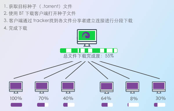 种子是如何工作的