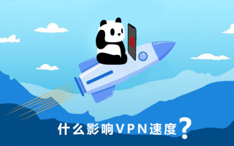 是什么影响了 VPN 速度？
