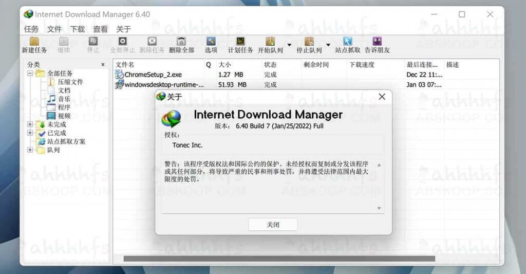 Internet Download Manager