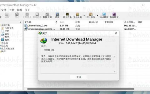 Internet Download Manager IDM 破解版 中文便携版 v6.41.3