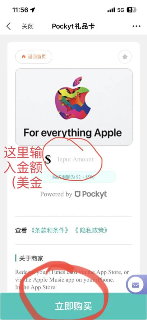 步骤五：购买苹果礼品卡